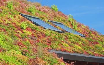 Dunsfold Common living roof systems