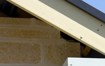 soffit repair Dunsfold Common